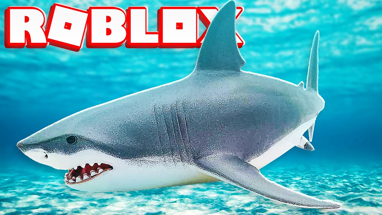 We Got Attacked By A Shark In Roblox Jeromeasf Roblox Youtube - 2 player megalodon shark attack in roblox youtube