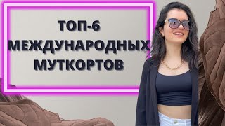 Юридические турниры, которые сформируют тебя как профессионала