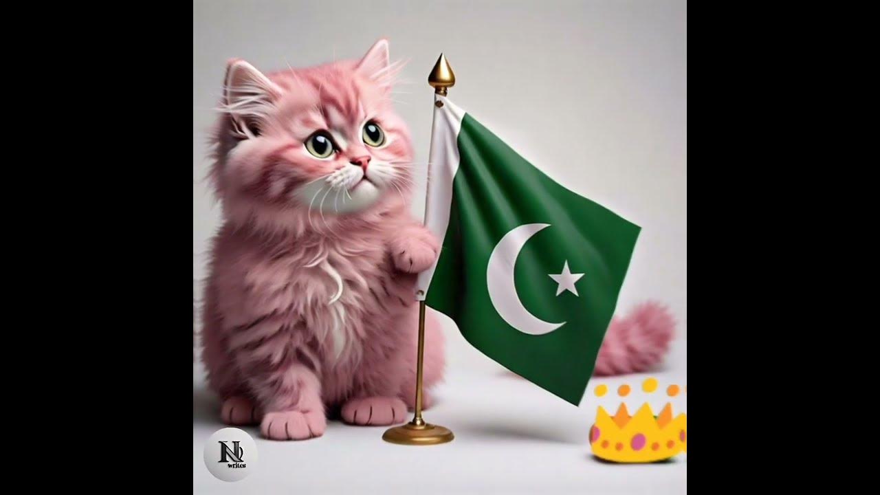 independence day dp pakistan