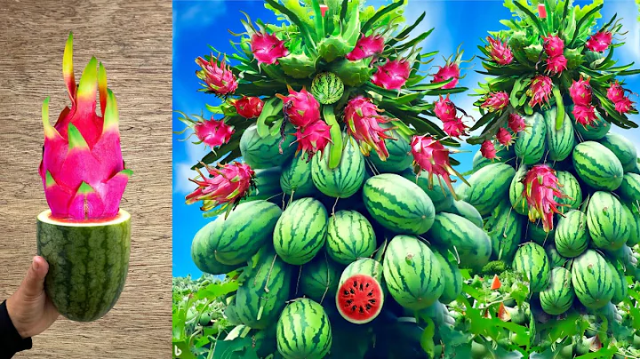 Unique Technique : for getting Dragon in Watermelon fruits with egg and Aloe Vera
