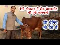 देसी गोपालन को लाभकारी बनाने की पूरी जानकारी, फ्री ट्रेनिंग भी देते हैं Desi cow and dairy farming