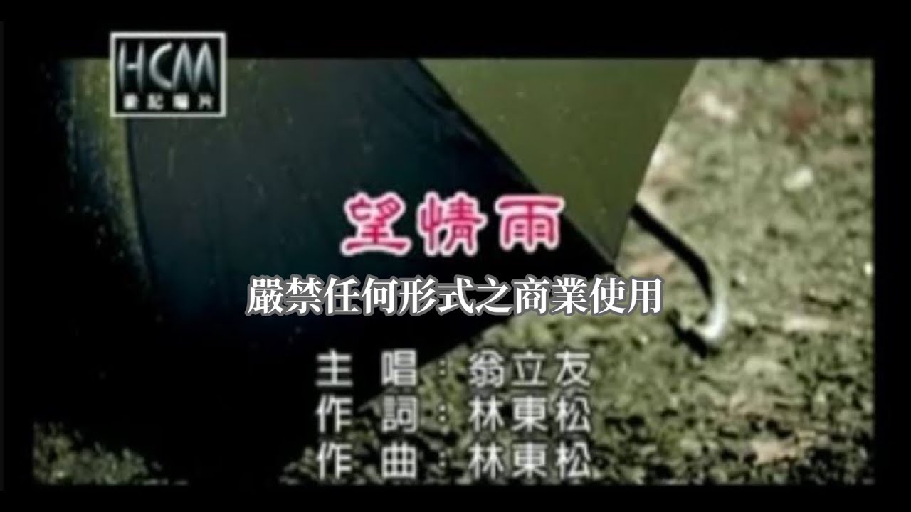 翁立友-望情雨(官方KTV版)