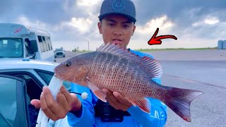 Caught SNAPPER At The Texas City Dike!