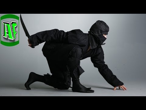 საინტერესო ფაქტები ნინძების შესახებ | ნაწ|#1