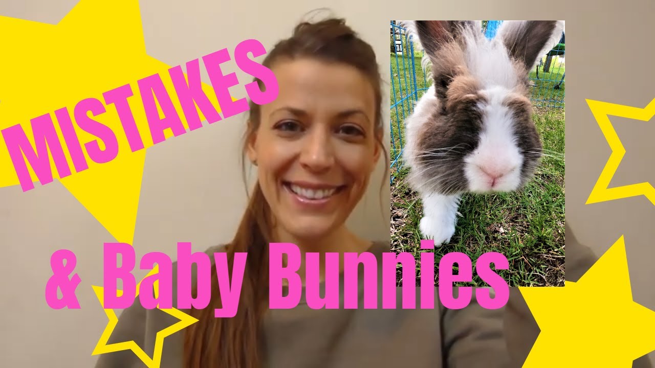 Mistakes I've Made and Baby Bunny News
