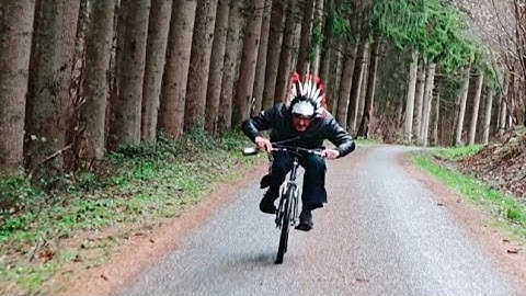 Les Oliviers | A O R T I C A 