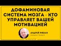 ДОФАМИН. КТО УПРАВЛЯЕТ ВАШЕЙ МОТИВАЦИЕЙ