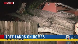 Trees fall on homes in St. Pete