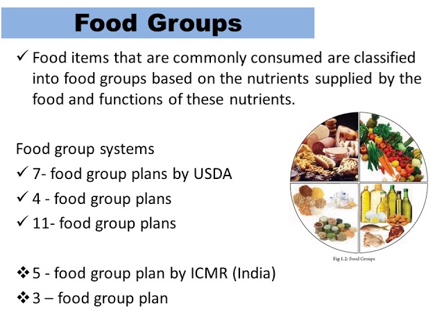 Basics Of Human Nutrition - Part 3 (Food Guide Pyramid And Food Groups) -  Youtube