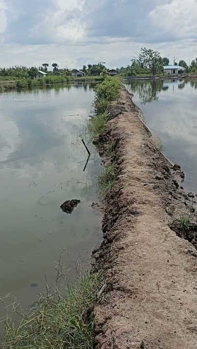 juragan empaang...