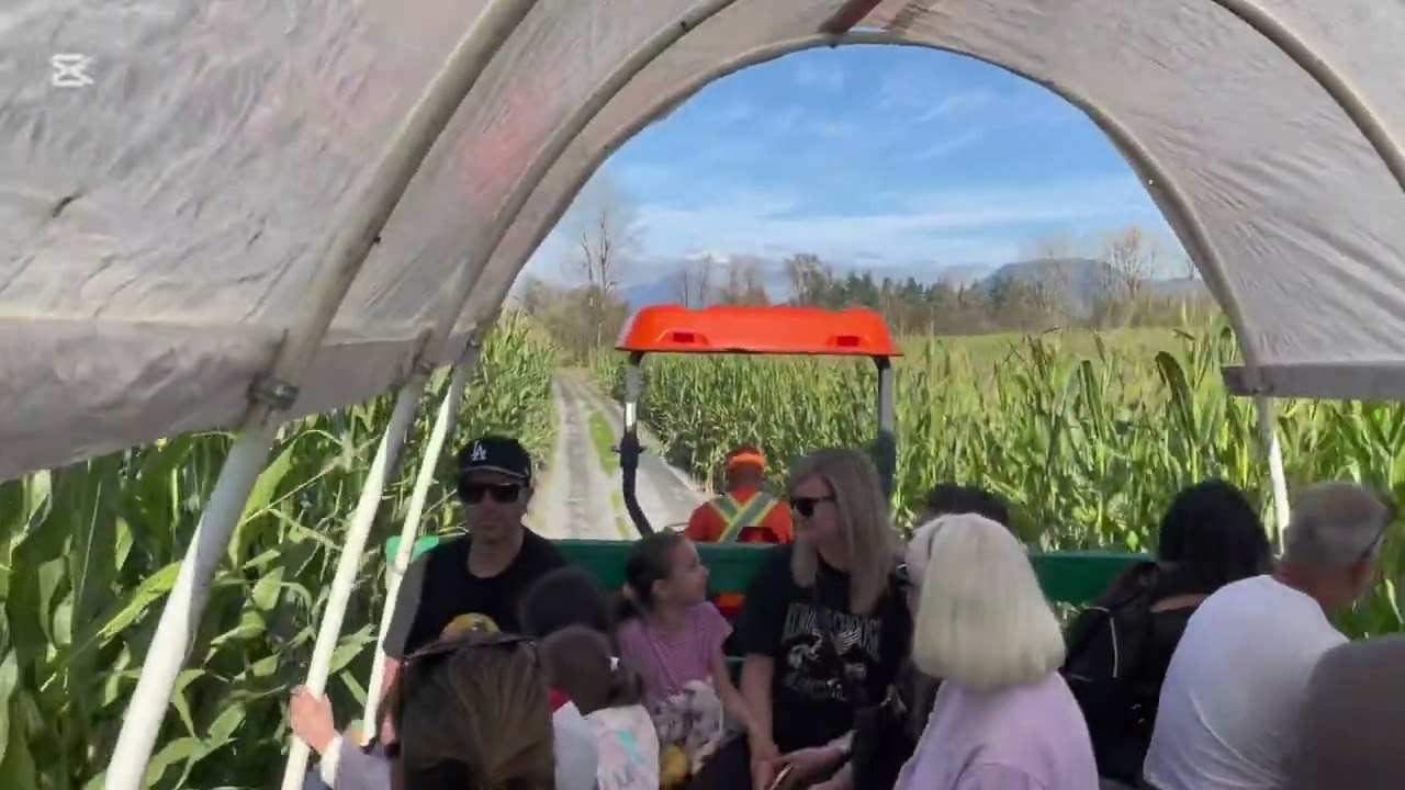 LAITY Pumpkin Patch North in Maple ridge