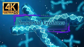 Immortal Creature | Longest Living Creatures  4K