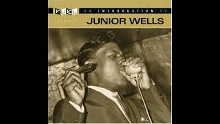 Junior Wells – Help Me (Live)