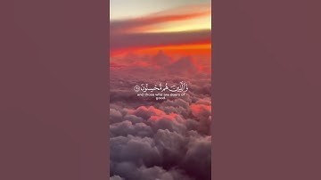 ما تيسر من سورة النحل | القرآن الكريم | القارئ ماهر المعيقلي