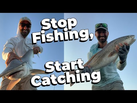 How To Surf Fish: Catch More Fish With 4 Simple Principles 