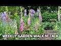 May garden tour 2024  backyard flower garden ideas from my landscape cutting garden