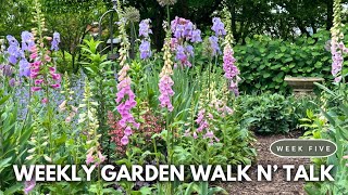 May Garden Tour 2024 / Backyard Flower Garden Ideas from my Landscape Cutting Garden screenshot 5