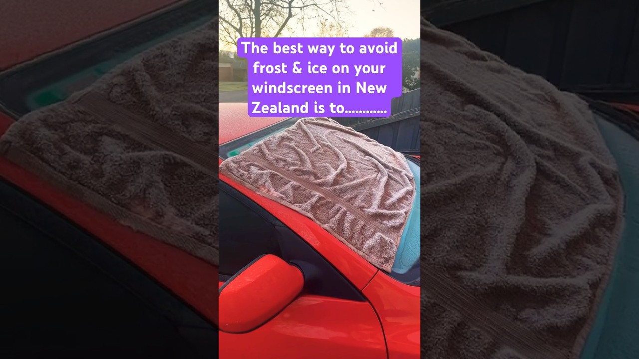 Best way to avoid ice & frost on your windscreen in New Zealand  