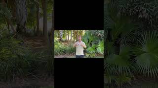The Simple Shift That Transforms Your Reality