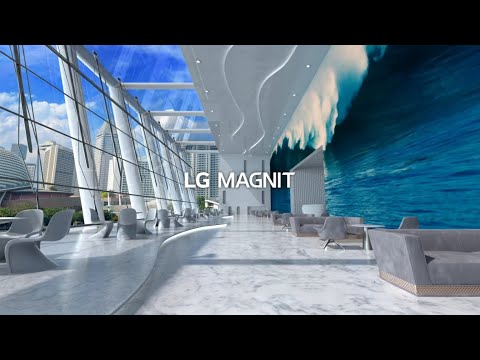 LG MAGNIT