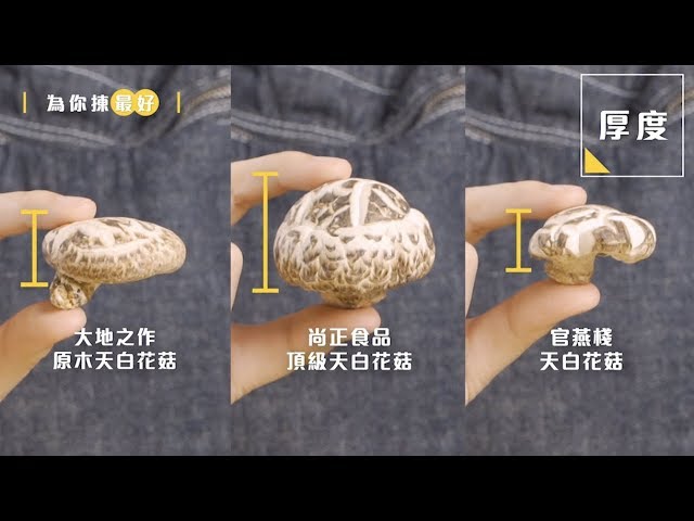 食得好買得平 激厚肉巨大花菇王 68 半斤 Youtube 食得好買得平 激厚肉巨大花菇王 68 半斤 Youtube