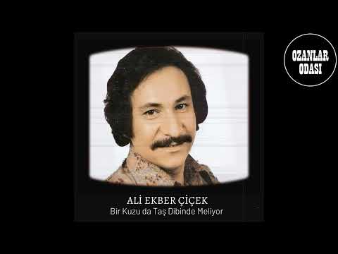 Ali Ekber Çiçek - Bir Kuzu da Taş Dibinde Meliyor | Plak