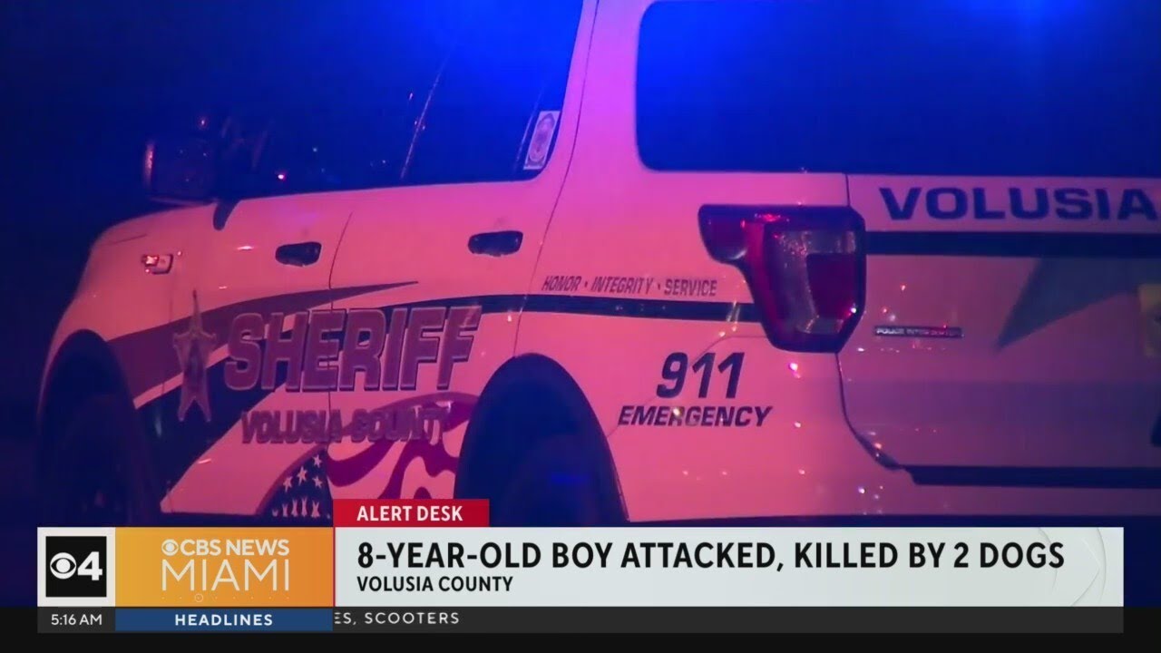 Boy, 8, attacked and killed by 2 dogs in Central Florida - YouTube