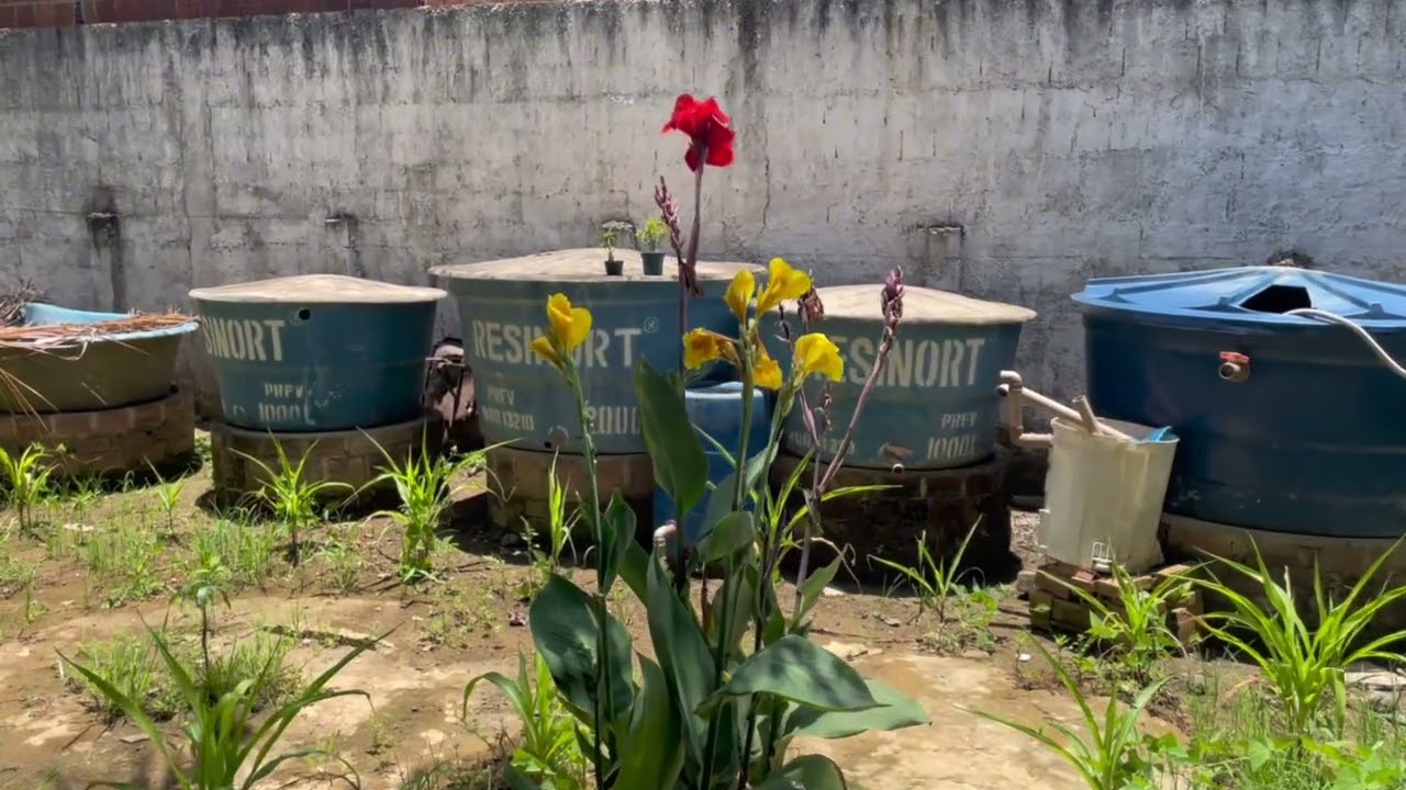 Um vídeo simples pra vocês um cheiro no coração 