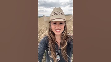 Block spam the easy way - link in bio