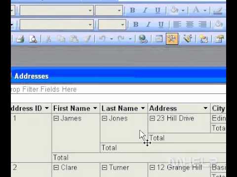 Microsoft Office Access 2003 Show data as hyperlinks in PivotTable view