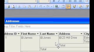 Microsoft Office Access 2003 Show data as hyperlinks in PivotTable view