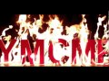 Birdman (Ft. Lil Wayne) - Fire Flame Remix Official Video