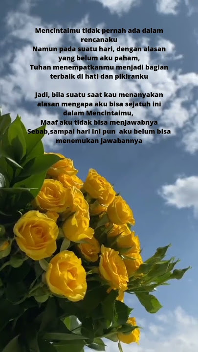 Bukan Cinta Biasa _ Afgan #storywa #storywa30detik #storywagalau #story #shorts