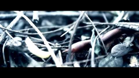 Makan Di Warung - AJAL AROGANSI (Official Music Video)