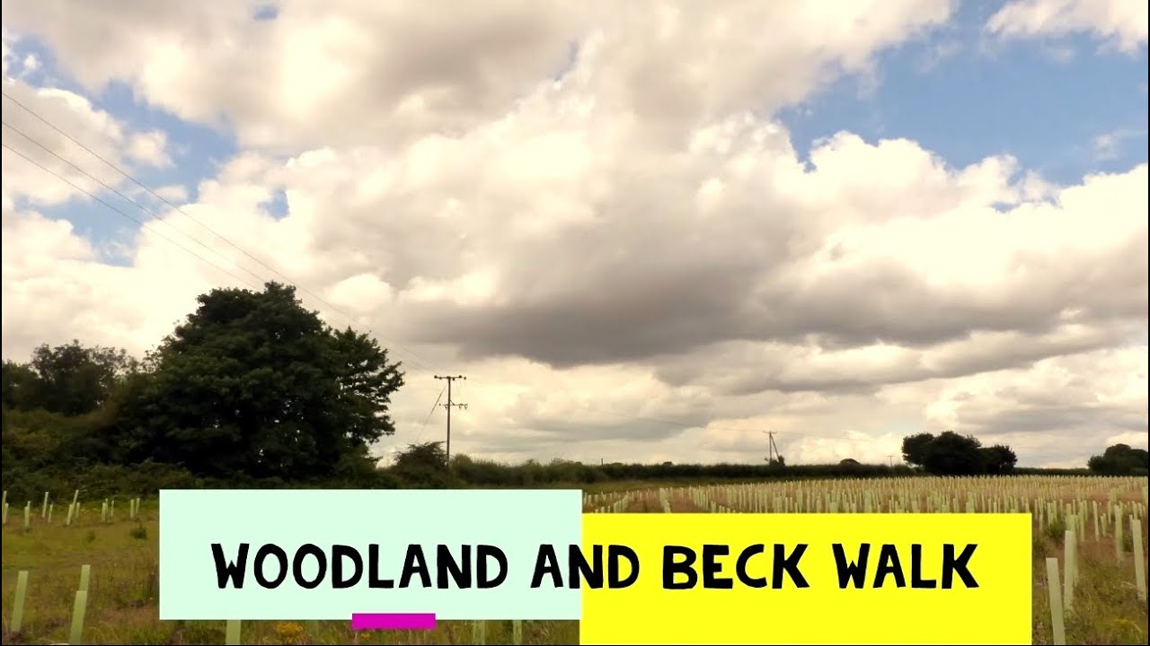 Summertime in the woods and around the beck