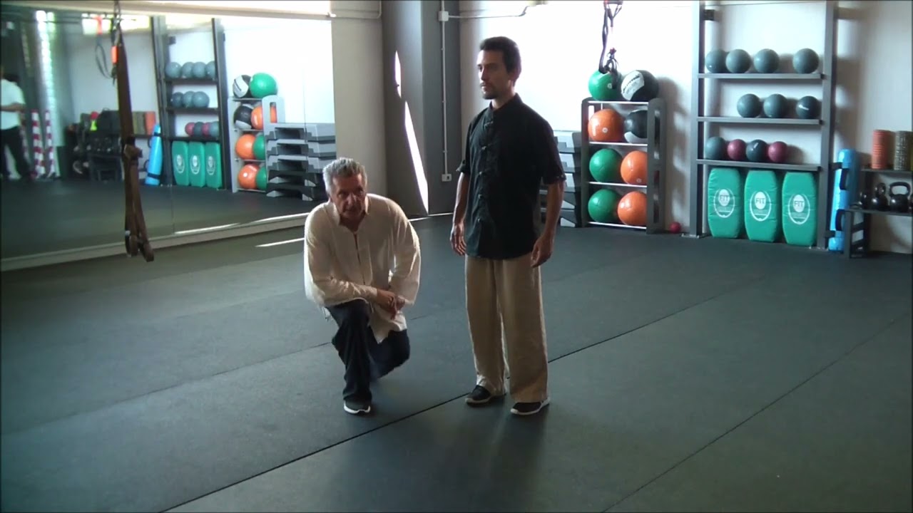 1° approfondimento Zhan Zhuang