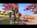 The Art Of Slow Living After 50 A Cozy Spring Day In France 