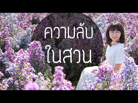 วีดีโอ: ความลับในการทำสวน