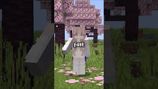 Hidden Minecraft Features That Actually Exist...