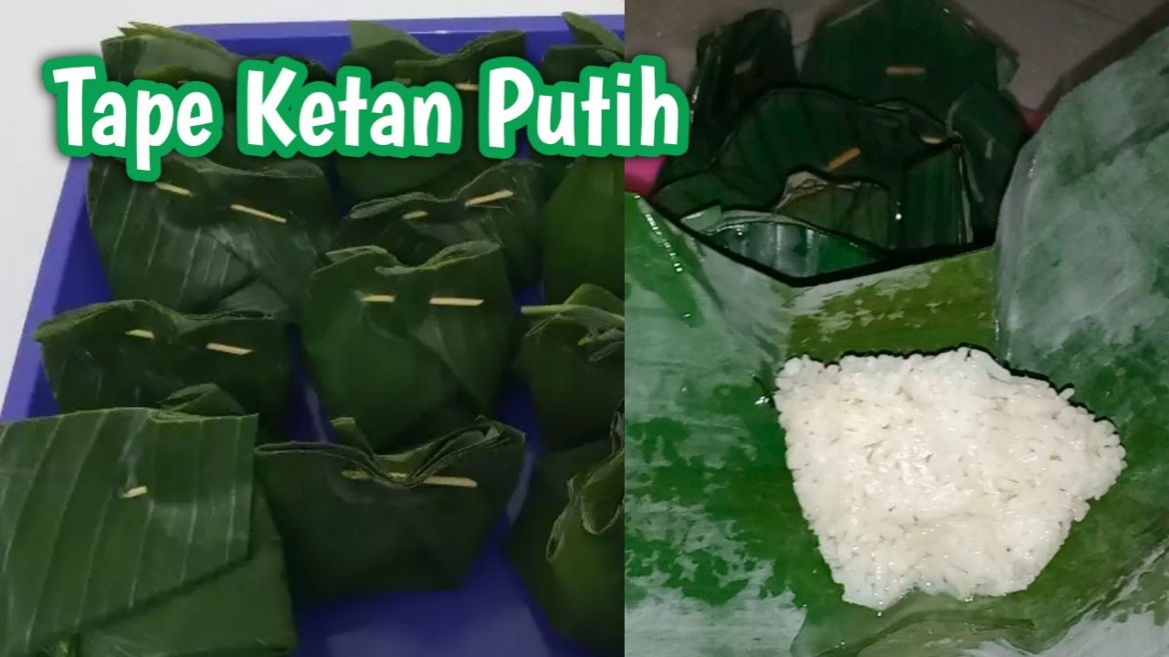 Proses Pembuatan Tape Ketan Putih - YouTube