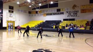 RHS Dance team - 2015 Tiger Fest