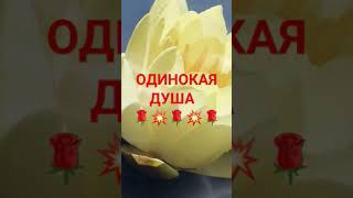 одинокая душа💥🌹💥🌹💥🌹