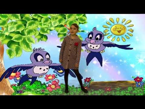 მატყუარა ჩიტი