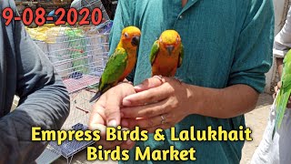 Empress birds market karachi update 9-08-2020 ||Lalukhait birds market karachi update