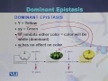 BIO301 Essentials of Genetics Lecture No 96