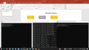 zenoh video demo