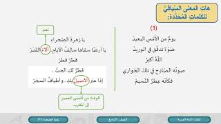 الصف التاسع   اللغة العربية   القراءة  قصيدة زهرة الصحراء  ج2