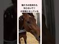 フォーエバーヤングさん、俺たちの気持ちも知らないで！が話題となっている #競馬 #競馬予想 #shorts