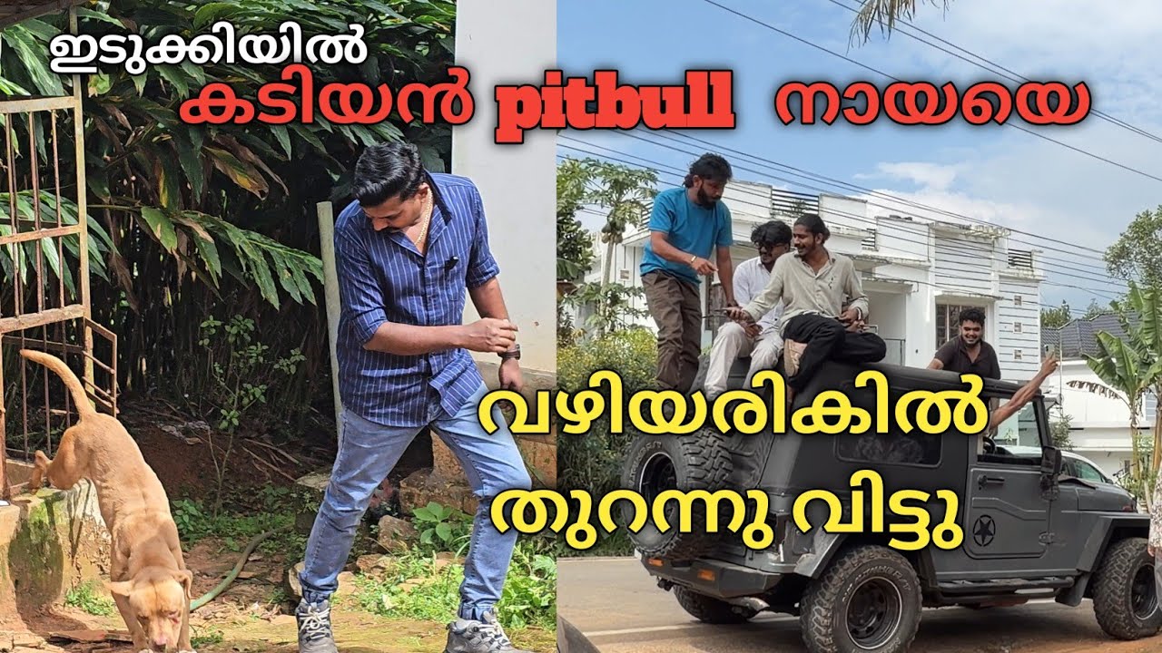 അവസാനം ആളുകളുടെ ഇടയിലേക്ക് തുറക്കേണ്ടി വന്നു...leash talks 
