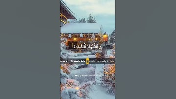 سوره ال عمران ایه 56‌ با ترجمه فارسی و انگلیسی
